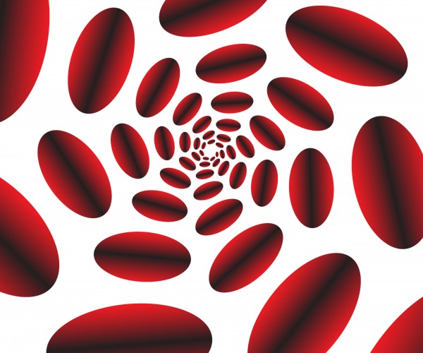 Blood Clothing Samples Digital Download